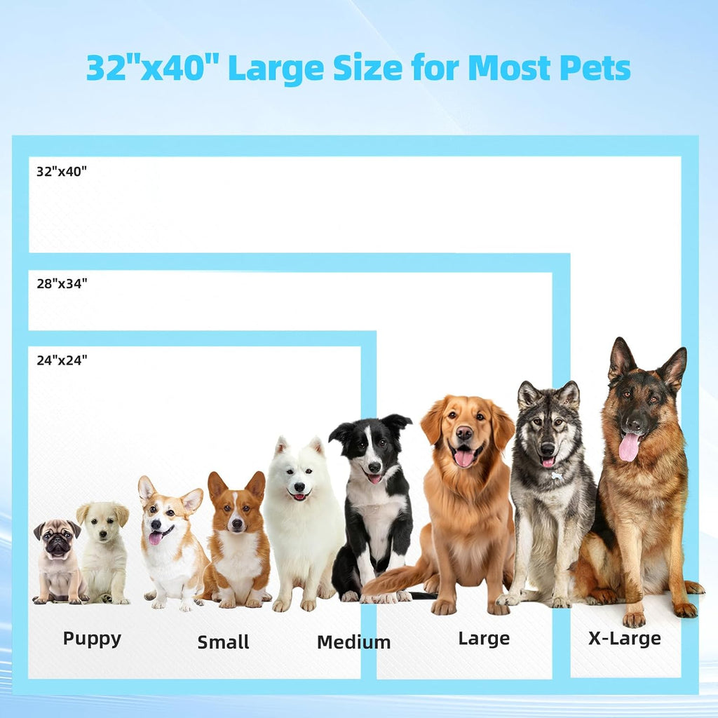 c2488a23-bb98-4062-ad29-2d8c39ea4820